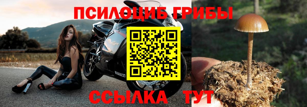 Марихуана Десногорск