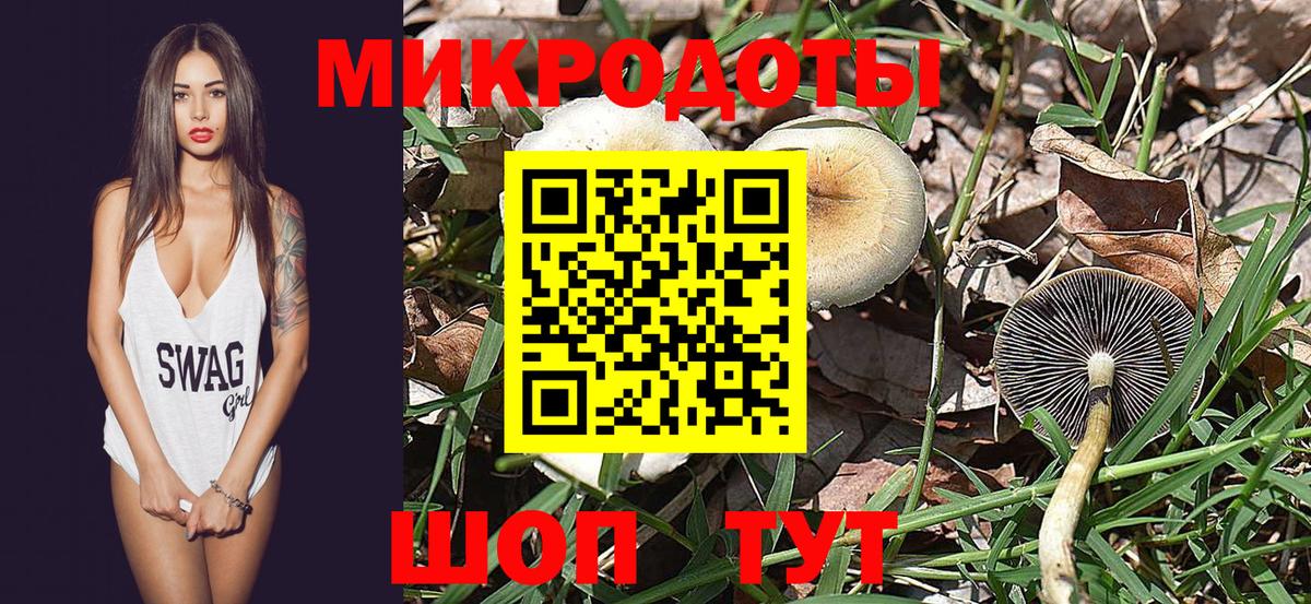 Галлюциногенные грибы GOLDEN TEACHER Десногорск